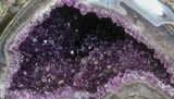 Dark Amethyst Geode From Uruguay - lbs #41899-1